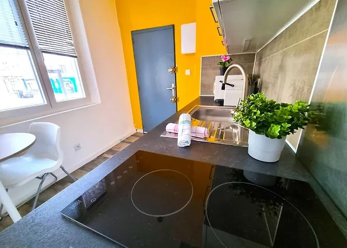 Votre Pied-a-terre Ideal Proche Gare De Apartman *